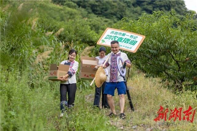 乡村“小网红”，释放大能量——看湘西州乡村短视频和直播如何拉动农特产品销售
