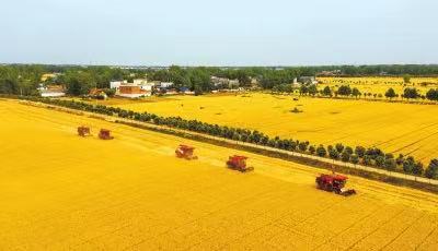缇庤鲍鍚嶅搧瀹ｄ紶,缇庤鲍鍚嶅搧