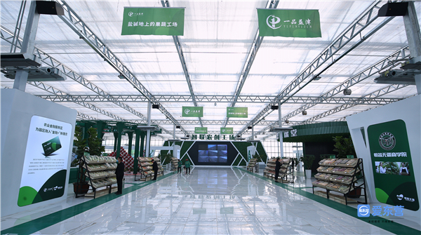 涓滆惀鎴愰暱鏁呬簨,涓滆惀鍒涗笟鏁呬簨