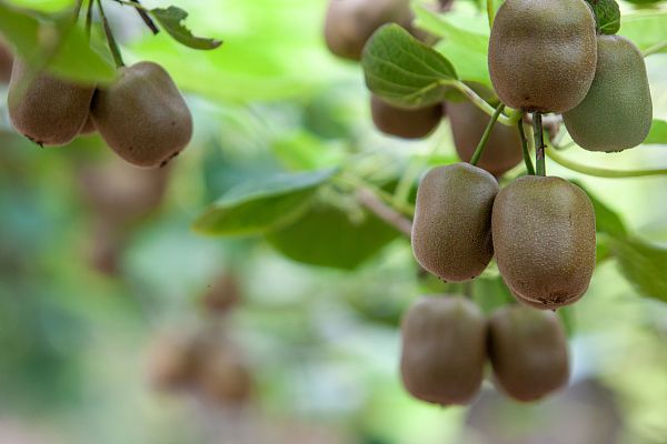 乡村振兴贵安,千企兴千村助力乡村振兴贵州