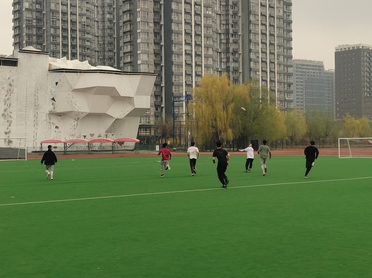 为什么年轻人都不玩游戏了,飞盘年轻人