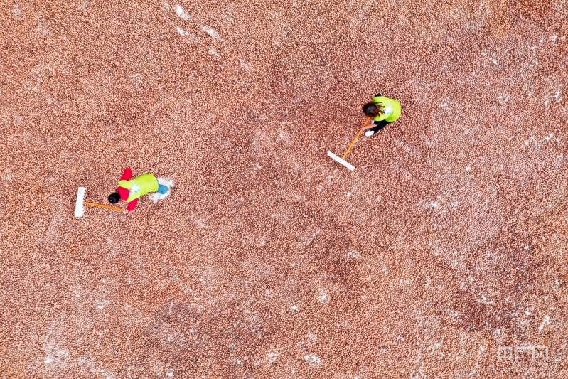 【大宏图·“县”在启航】甘肃成县：书写“三大区块”跃升篇章擘画“景城融合”成州印象