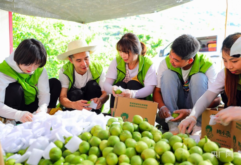 【大宏图·“县”在启航】甘肃成县：书写“三大区块”跃升篇章擘画“景城融合”成州印象