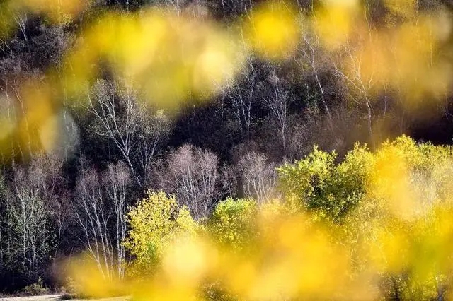 在京北第一天路看遍坝上美景,坝上草原最美天路