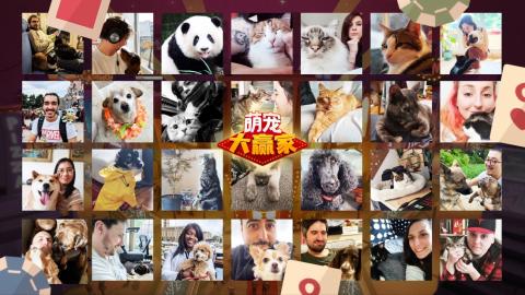 零氪金模拟经营《萌宠大赢家》正式上线Steam!体验如何从生意小白到*场赌**经理