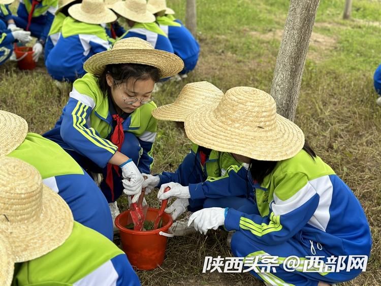 让劳动教育更贴近学生的真实生活,让劳动教育融入日常生活