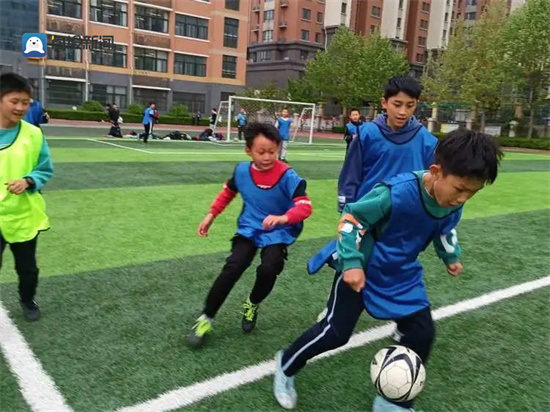 孙家小学足球联赛,奎文区金宝双语小学足球联赛