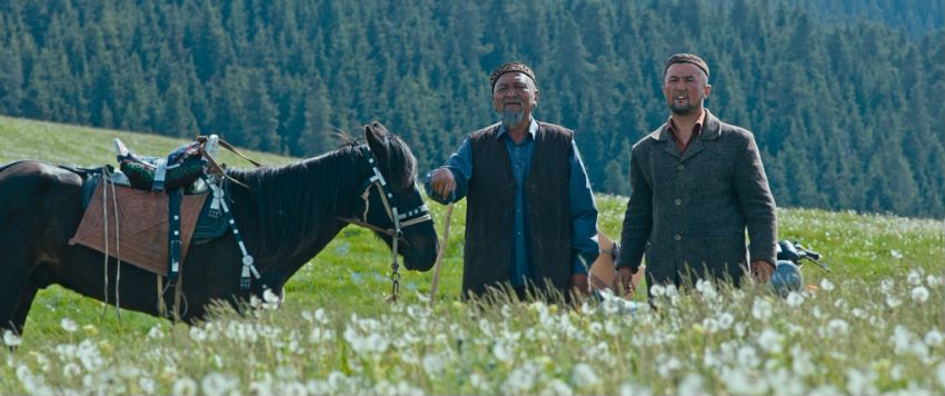 每一个故事都是真实的,每一个故事都是真实的故事