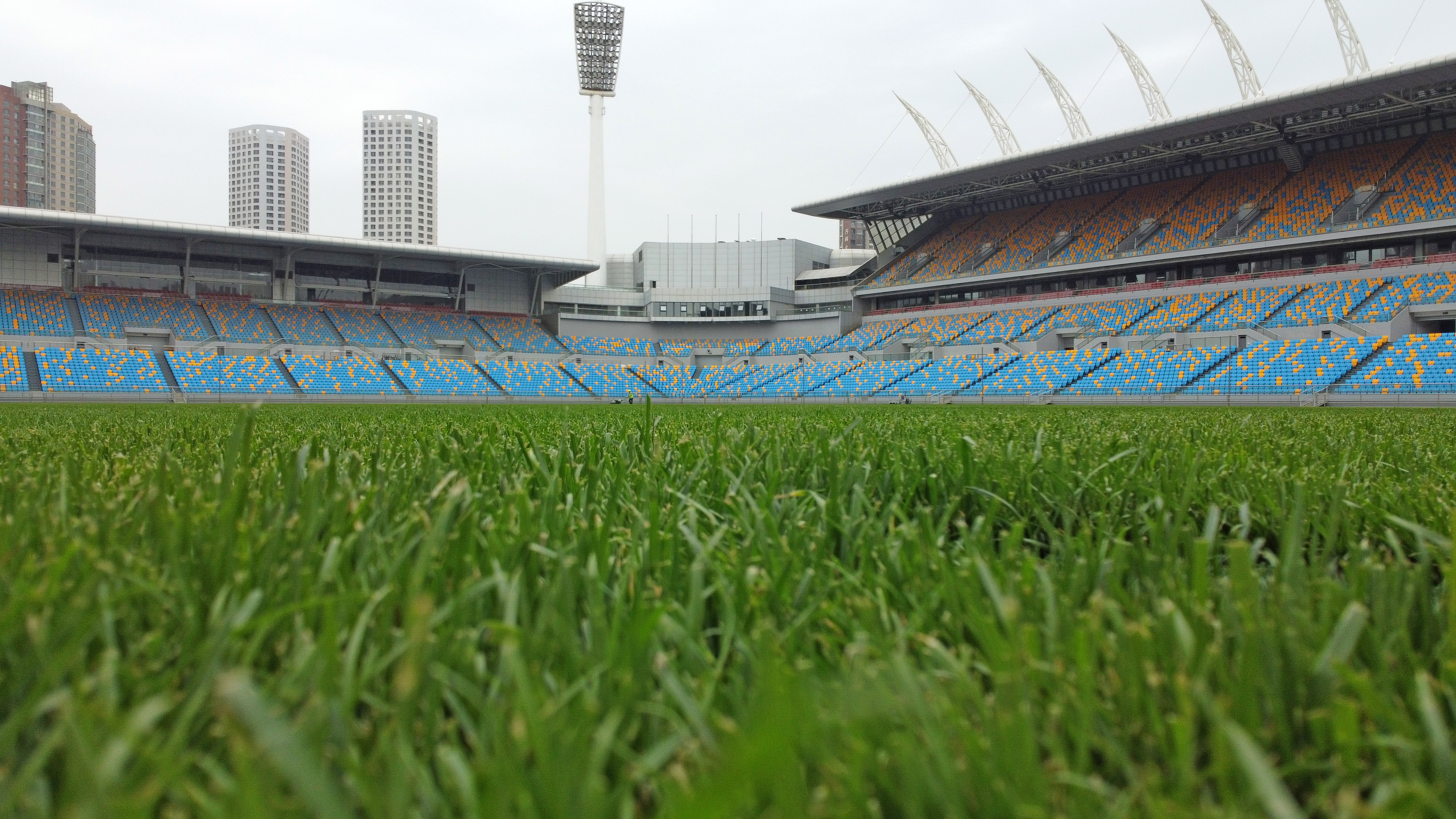 天津泰达团泊足球场,天津泰达足球场翻新效果图