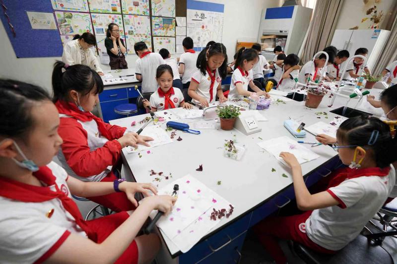 少先队员光荣入队,少先队入队游园