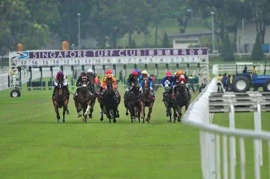 官宣了！新加坡明年10月停止赛马