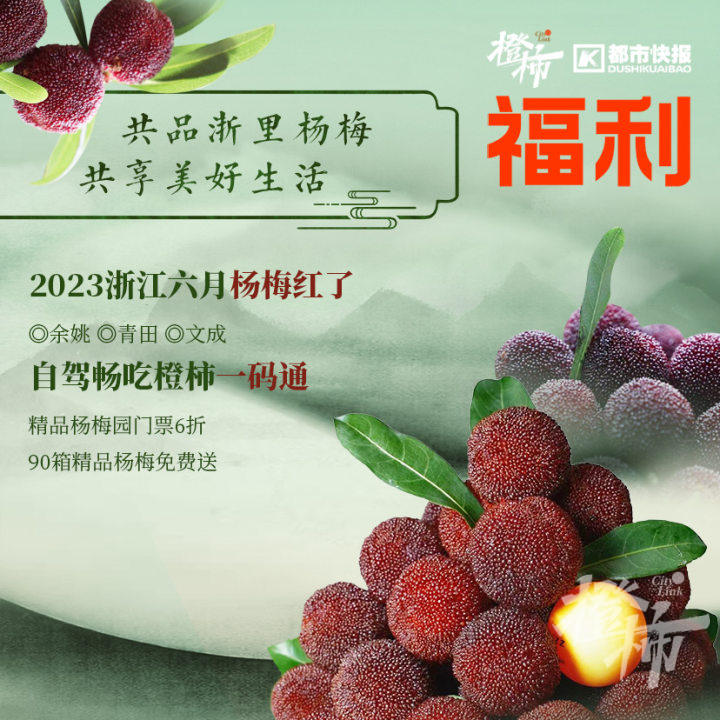 英式马术障碍赛儿童,马术儿童障碍赛