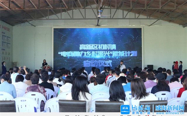 助力乡村振兴培育电商经济,乡镇电商助推乡村振兴方案