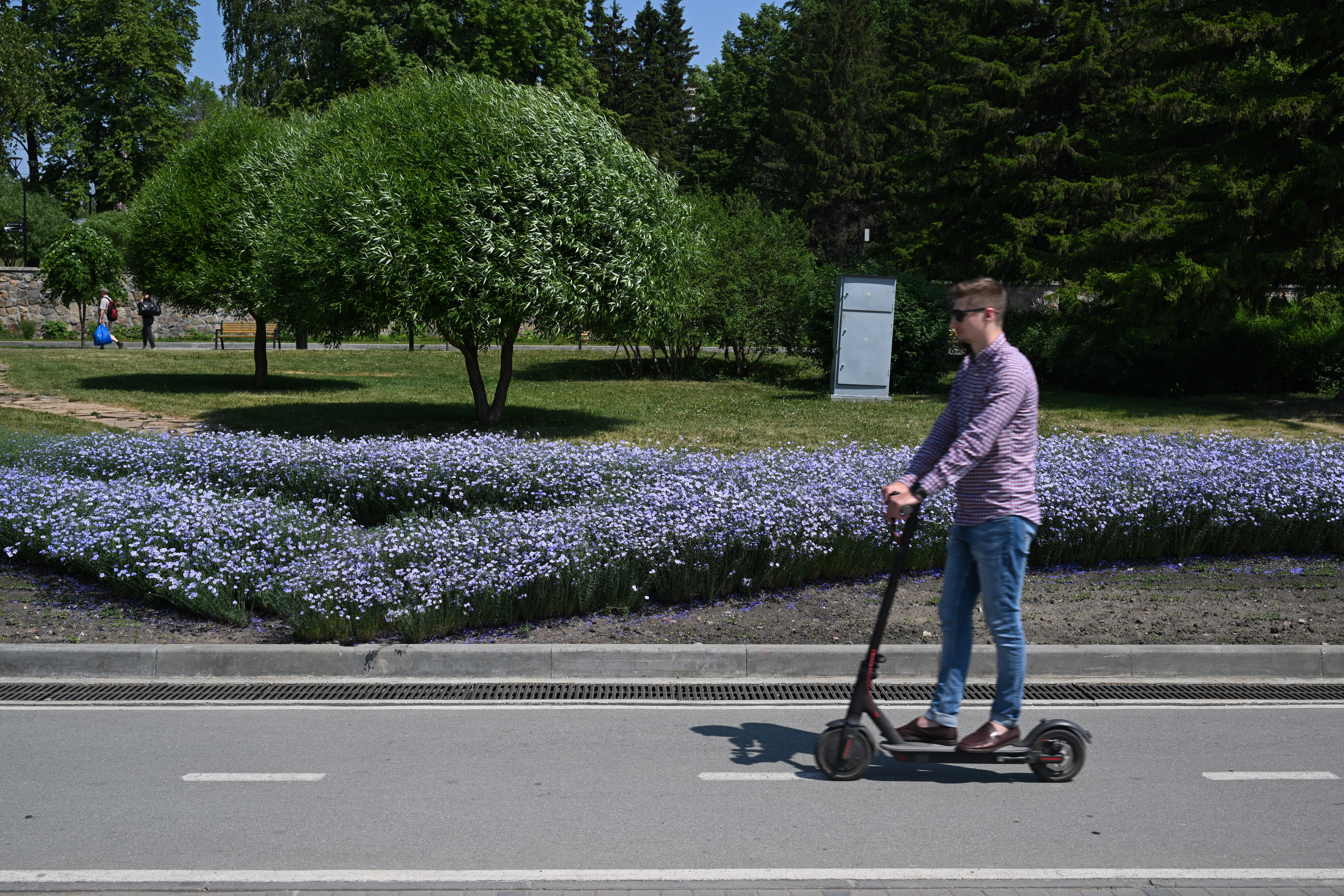 （外代二线）新西伯利亚的夏天