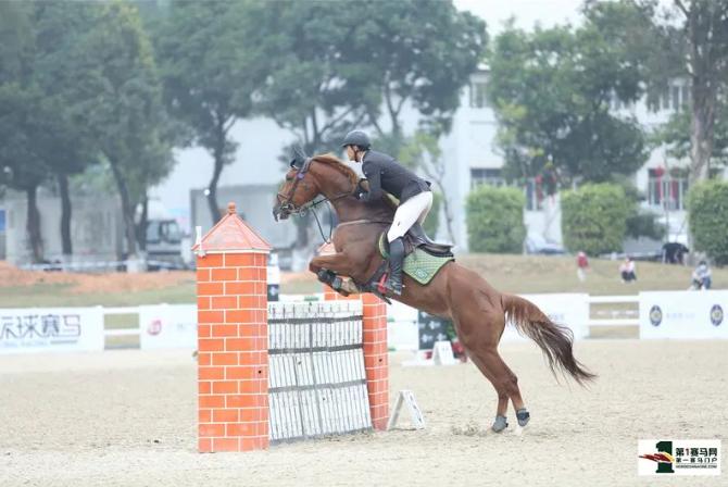 青少年马术比赛有哪些,广东省马术锦标赛规程