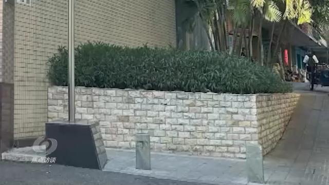 焦点访谈丨如何一次性解决老百姓的“麻烦事”？深圳“一键下单”了解一下→