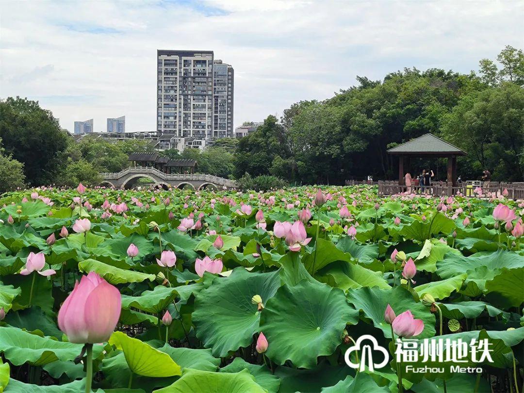 福州地铁4号线花海公园站出入口,福州琴亭湖公园地铁