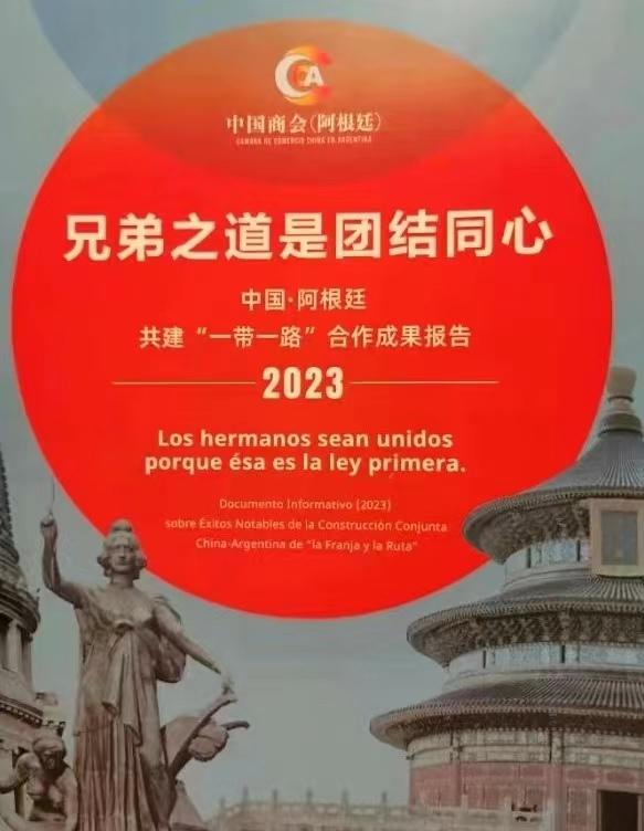 阿根廷队世界杯夺冠后首都巡游,阿根廷美洲杯夺冠阿根廷中国反应