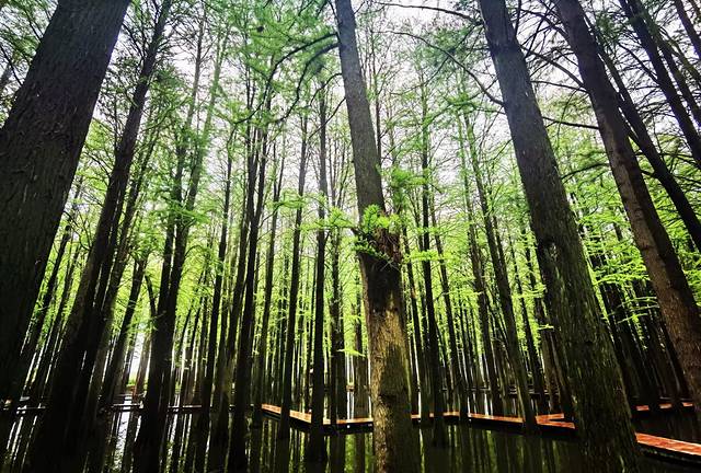 苏中自驾游‖这座城存下了我的一份醉心