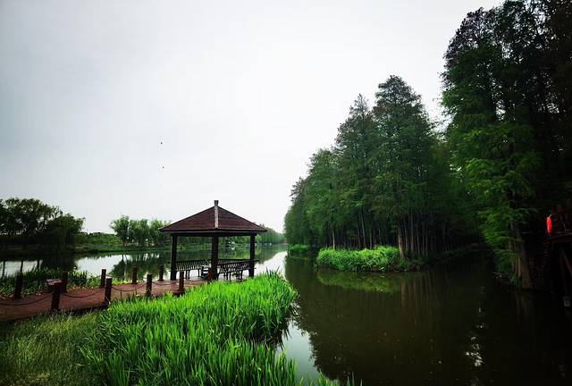 苏中自驾游‖这座城存下了我的一份醉心