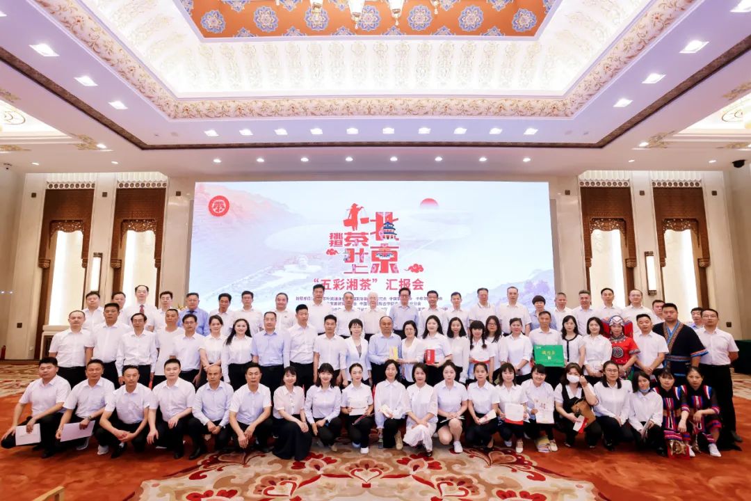 张家界莓茶被评为中国好茶叶,张家界莓茶算什么档次茶叶