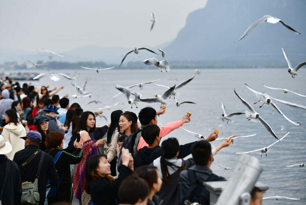 昆明机场转机7小时游玩攻略,昆明转机9小时游玩攻略