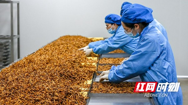 宜都农产品区域品牌征集结果,宜都公开征集农产品广告语