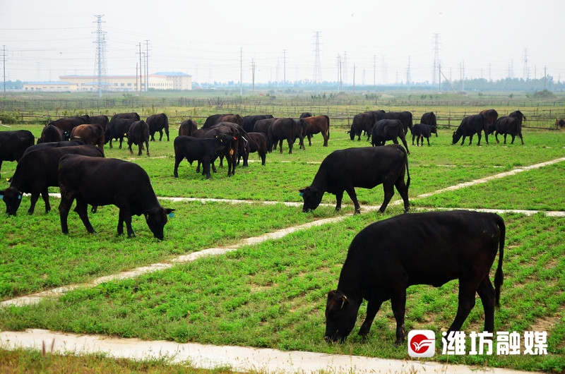 瞧瞧滨海的“数字经”