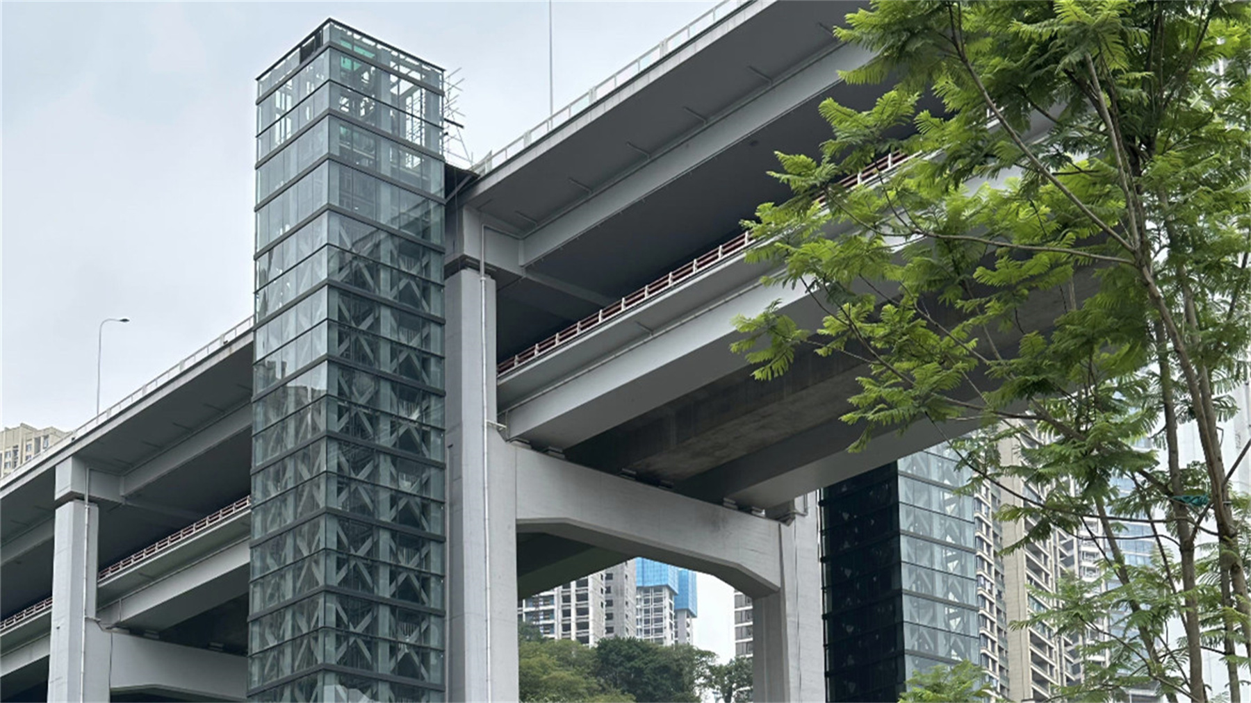 第1眼重庆广电,重庆广电第1眼直播