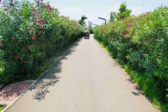 在云南有一种旅行叫做风景在路上,昆明适合一个人静静的小众打卡地