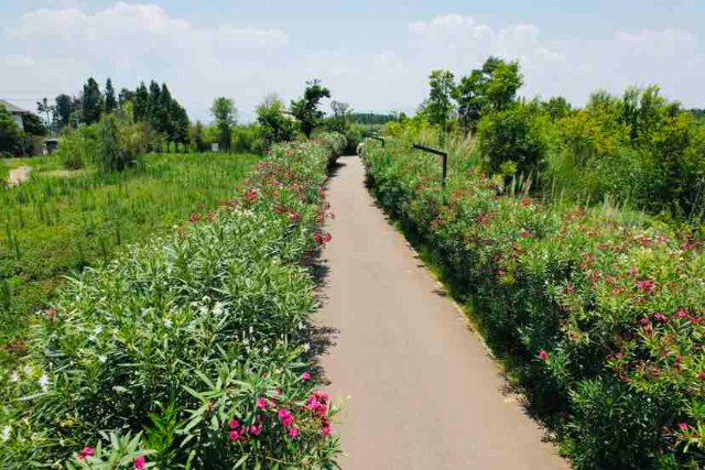 在云南有一种旅行叫做风景在路上,昆明适合一个人静静的小众打卡地