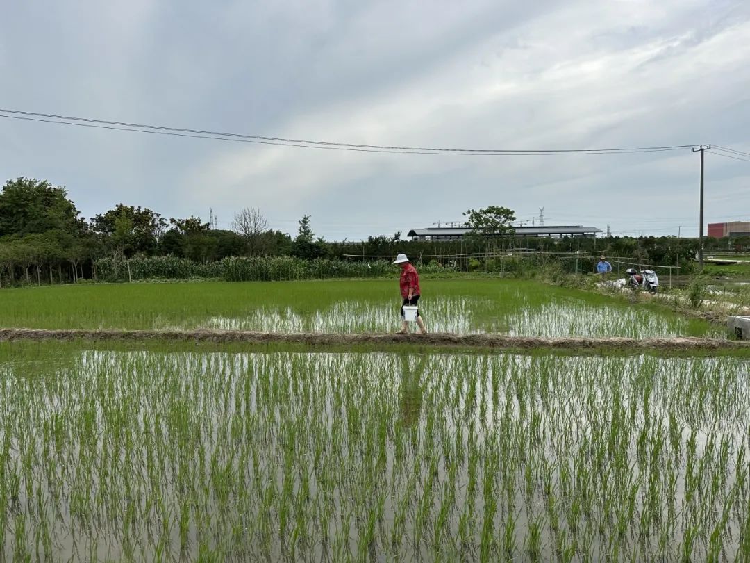 国家建设都市圈的目的,中国建设超级大城市利弊