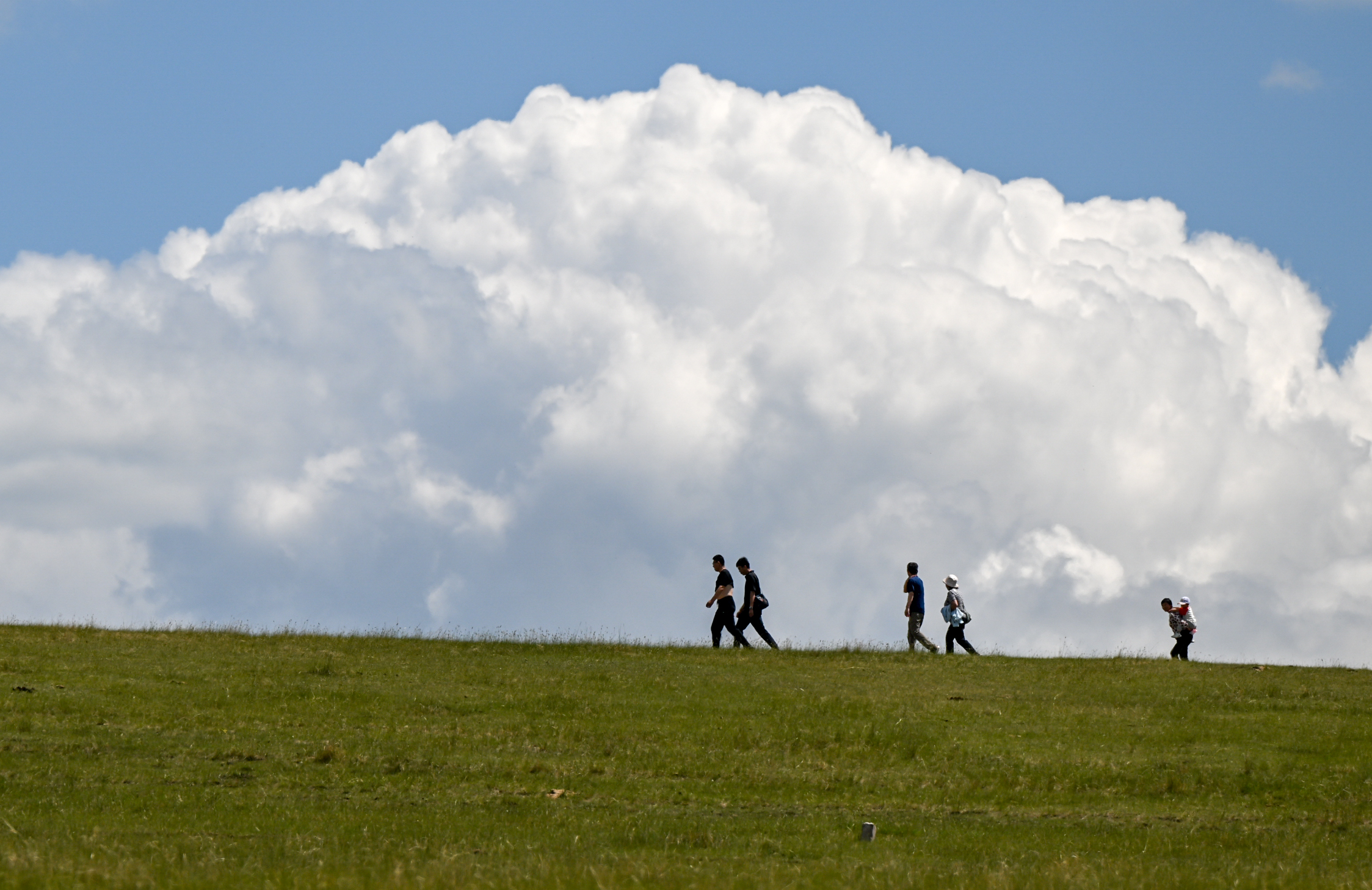 美丽中国呼伦贝尔,美丽富饶辽阔呼伦贝尔大草原