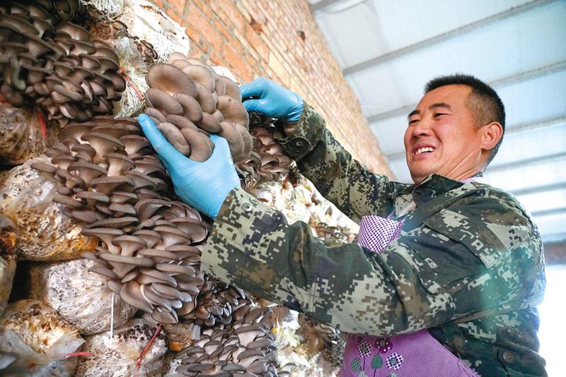 正阳：“小庭院”成增收“聚宝盆”