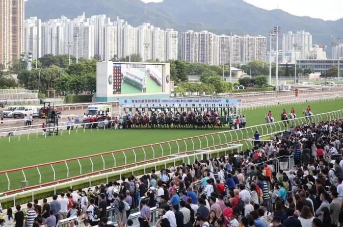 广东体育代表团出席“粤港杯”，逾两万名马友入场观赛！