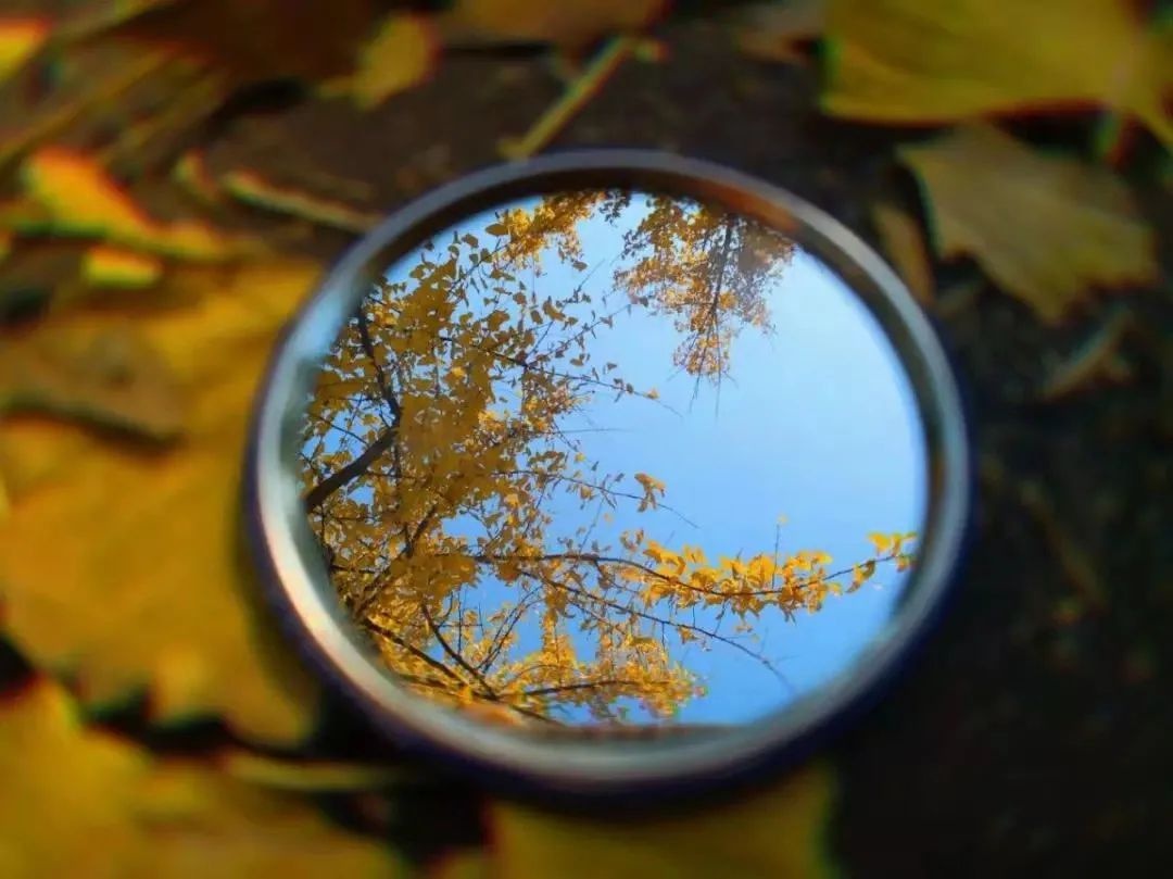 三峡大学研究生招生简章2021目录,三峡大学研究生招生简章2023公告