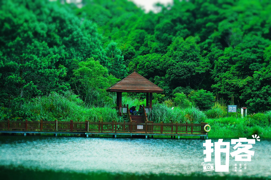 海南暑假旅游攻略自由行,海南研学亲子游