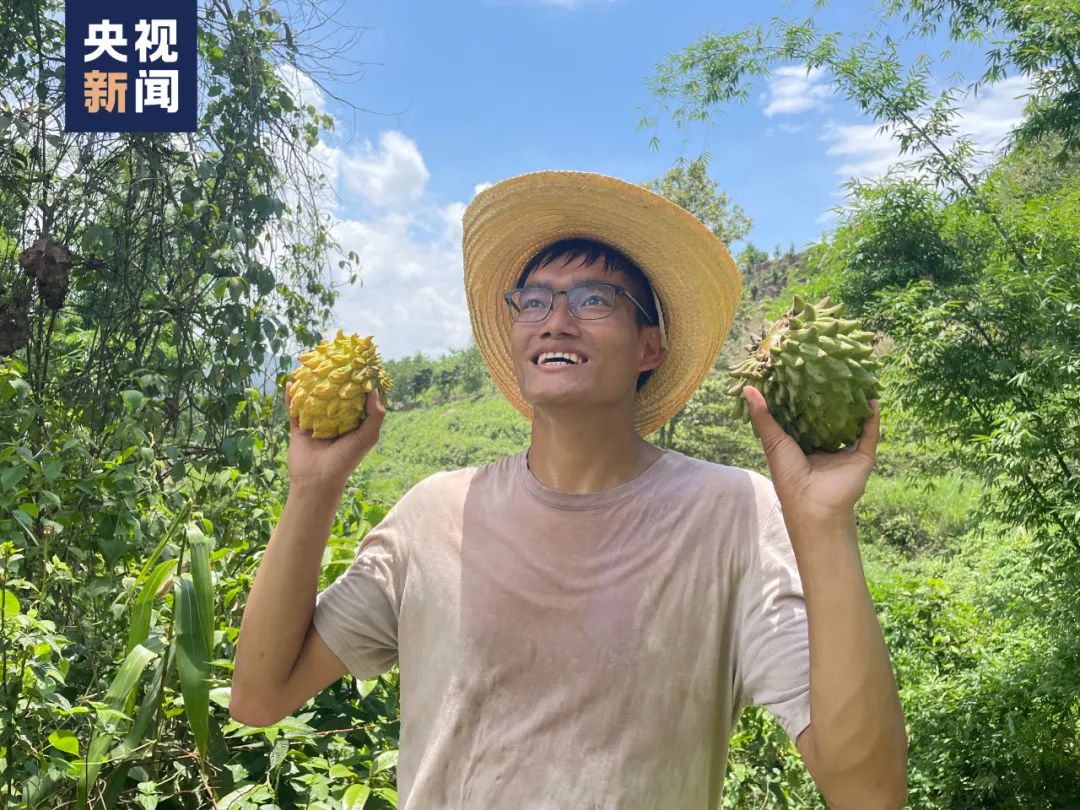 招生减章是什么,招生减章