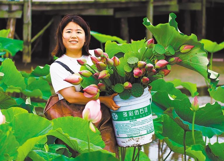 夏日赏荷文言文翻译,夏日赏荷