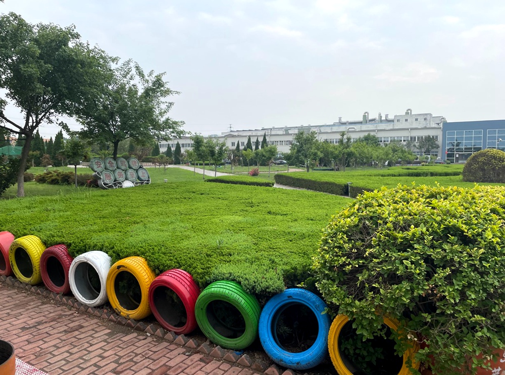 绿动青岛,绿动齐鲁碳路未来