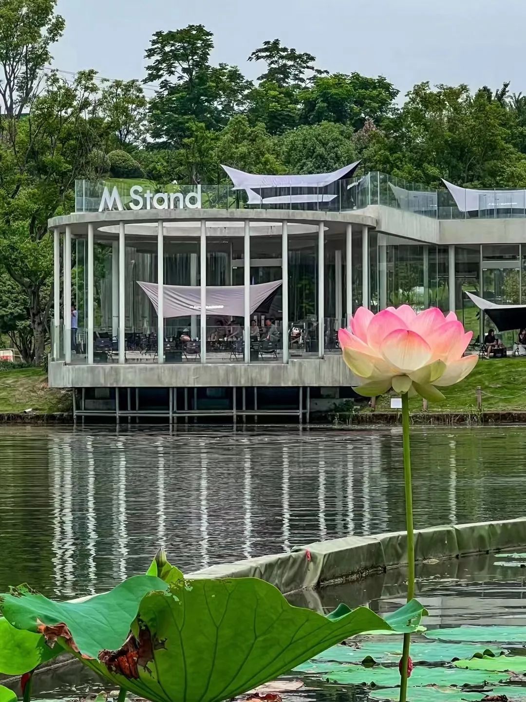 门店如何设计吸引人,如何让门店设计更有高级感