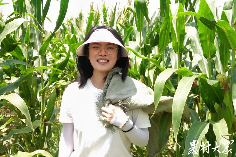 三农采访,三农记者战“三伏”