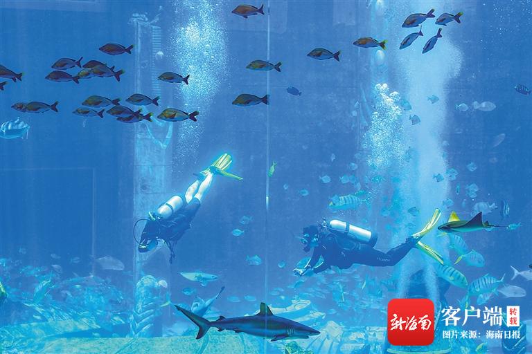 夏天凉爽旅游路线,深度海南自驾游