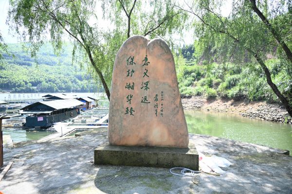 濒危动物复活,濒危到灭绝动物