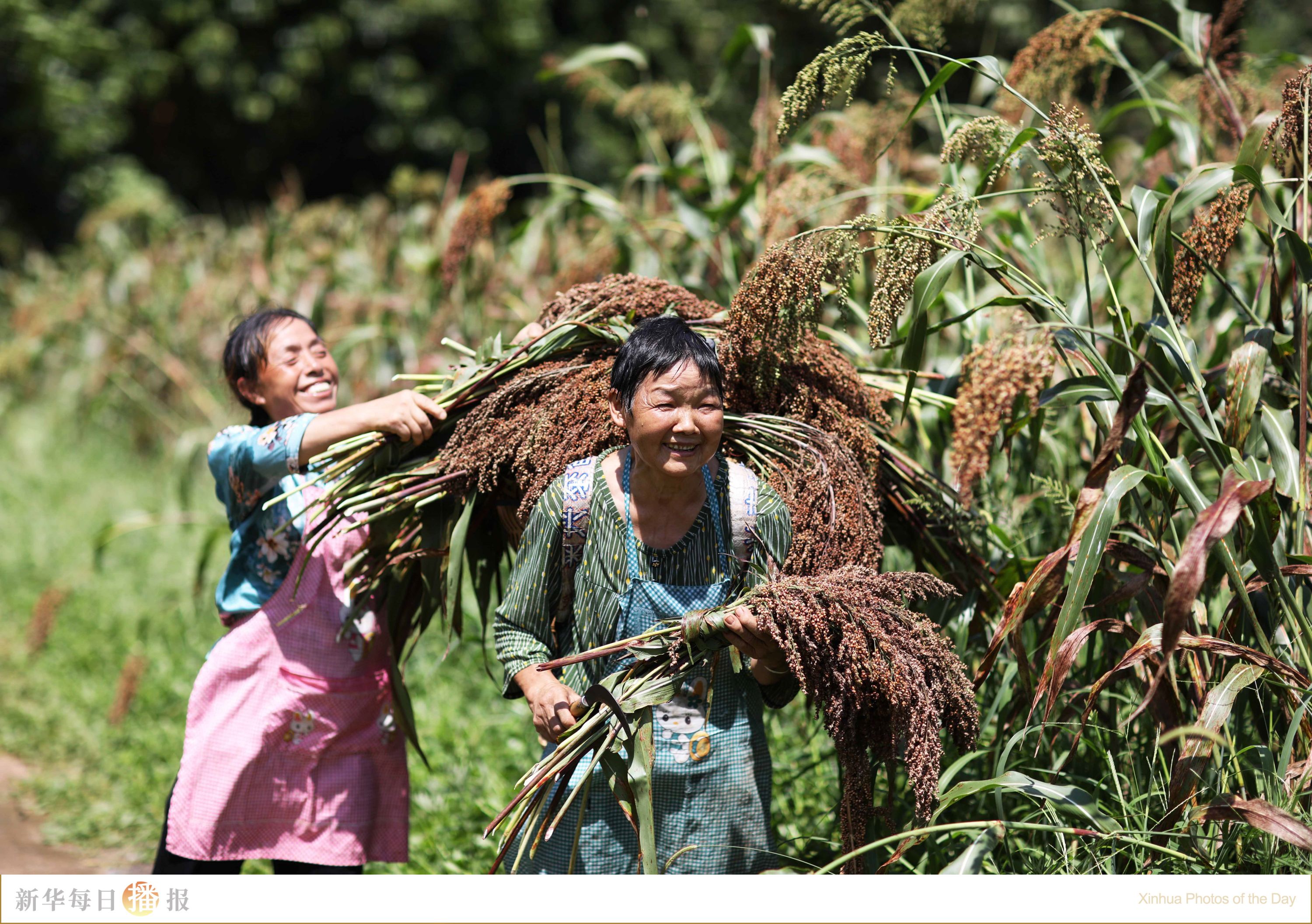 新华每日播报|8月9日