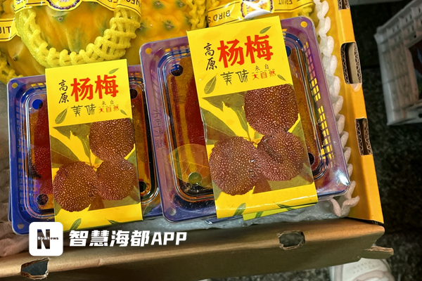 杨梅100多一斤,福建杨梅新鲜上市