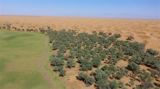 中广欧特斯,成沙漠邮局家居空调品类焕新唯一冠名品牌