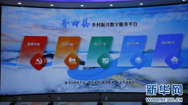 科技赋能长三角数字化转型,科技赋能的蝶变