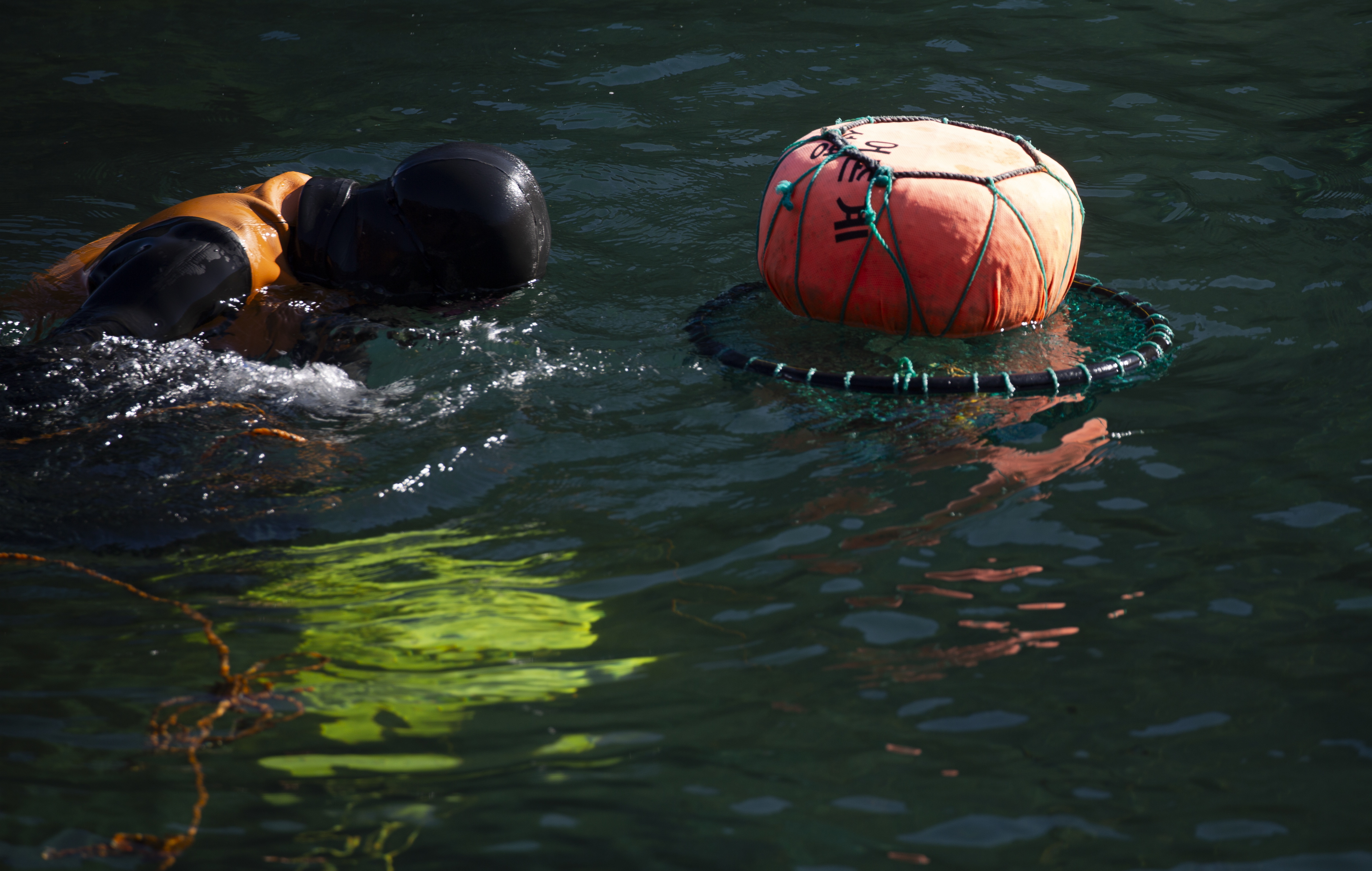海女济州岛,济州岛中的海女