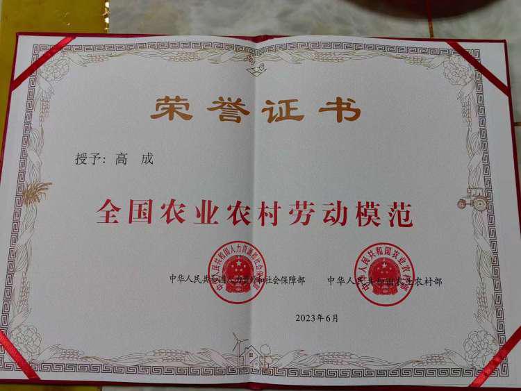 温泉故事情节视频,温泉故事大全